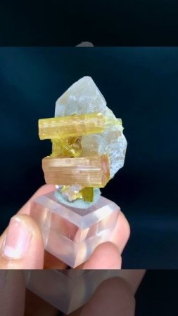 #Watermelon #TourmalineCrystals with #Lepidolite and #Quartz | #Specimen | #Minerals