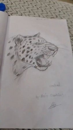 leopard by Alexis Garrison inspired by cartooning club