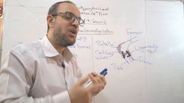 (59) Joints смотреть онлайн