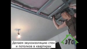 Утепление дома эковатой в Самаре. Презентация ООО ЭкоТеплоСтрой
