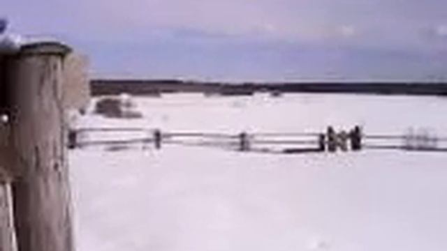 деревенская жизнь или начинающий фермер смотреть онлайн