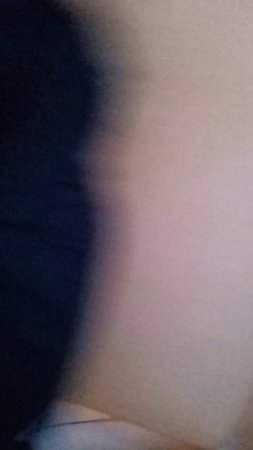 ВНИМАНИЕ ПОЖАРНОЯ ТРЕВОГА + БОМЖИ СО ЗВУКОМ ПЕРДЕЖА