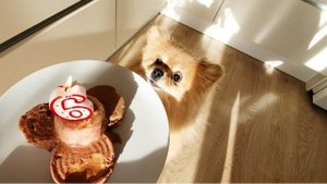 День Рождения Басеньки! Шесть лет!