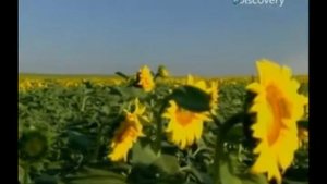 Ария - Беги за Солнцем!