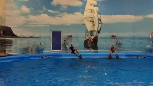 Шоу дельфинов#4 вторая часть прыжков от дельфинов