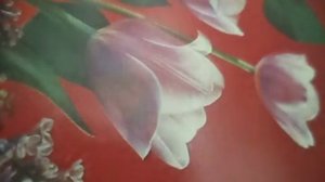 Я за тебя молюсь,  я за тебя боюсь и слышу я мой Бог(наброски)