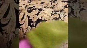 Варежка Твист от Гринвей против шерсти животных/Twist Mitten von Greenway