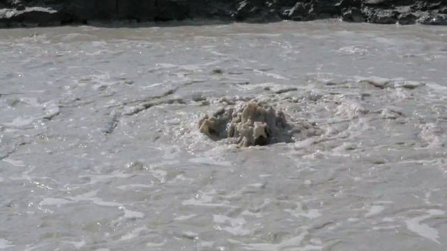 Salinelle di Parterno смотреть онлайн