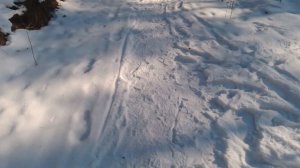 #красота #день #солнце #лес