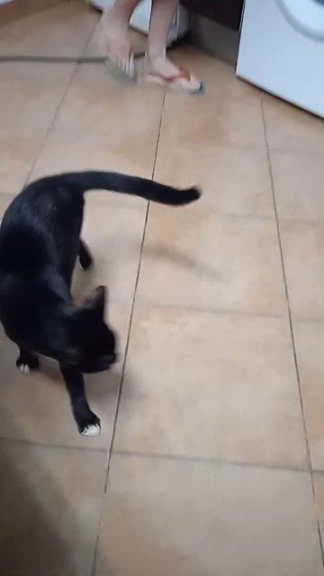 BOSS на нервах