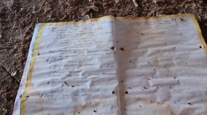 Заброшенная ферма. 2021г.