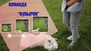 Команда "Кувырок"