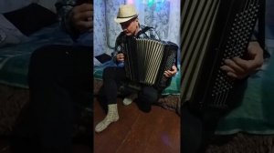 "ТОПОЛЯ-ТОПОЛЯ В ГОРОД МОЙ ВЛЮБЛЁННЫЕ".ФЕРМЕР ВОВА ВНОВЬ ПОЁТ,ОН БАЯНОМ ДУШУ РВЁТ:))))