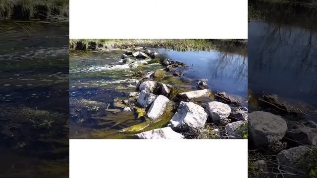 Погляд на село Преображенка