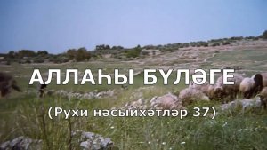 Аллаһы бүләге. 37-нче тапшыру.