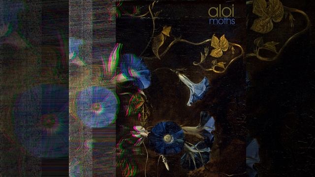 Hyalophora cecropia смотреть онлайн