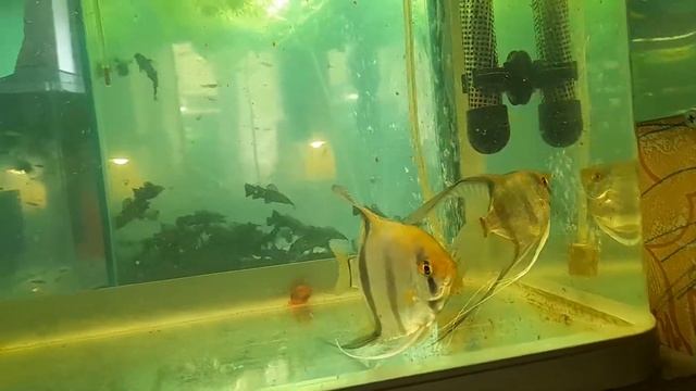 20 мая 2022 г. смотреть онлайн