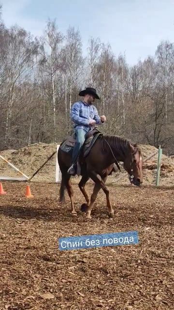 Вестерн рейнинг упражнение Спин. Школа спортивного вестерна г Москва смотреть онлайн