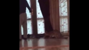 Khabib Nurmagomedov was scared of the little leopard. Хабиб Нурмагомедов испугался котенка