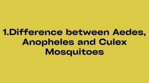 Difference between Aedes, Anopheles and Culex Mosquito#tripura #B.sc students#tripura university