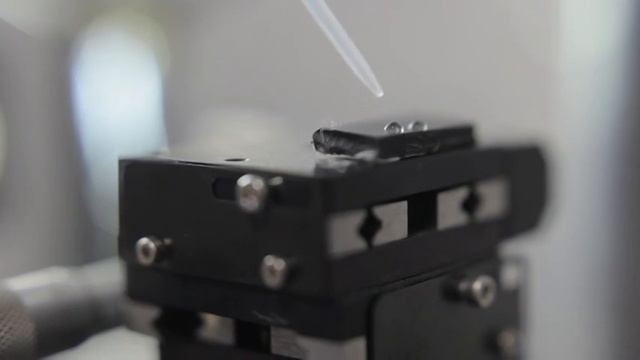 IL LIME смотреть онлайн