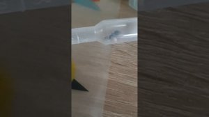 Как живут муравьи в пробирке.