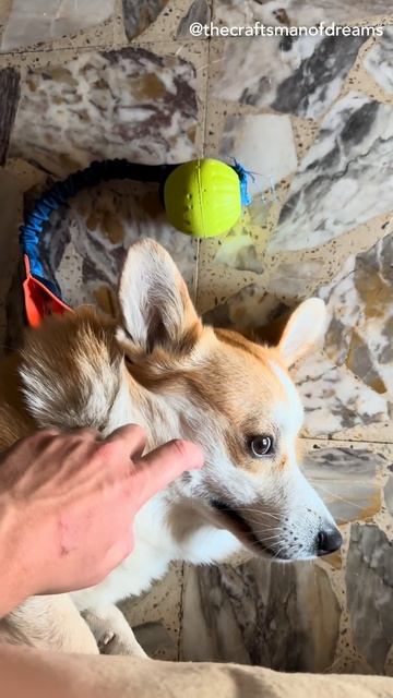 DON'T TOUCH, WHY DO YOU TOUCH❓ смотреть онлайн