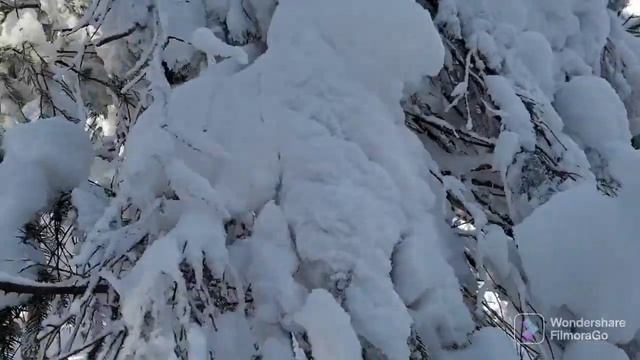 Зимовий Синяк 13.02.2022 смотреть онлайн