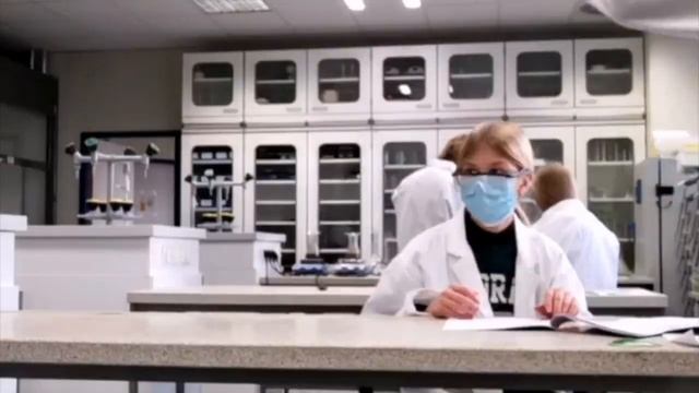 Projekt "Phosphor" | Naturpark Sauerland Rothaargebirge | Video Projektpartner Uni Siegen смотреть онлайн