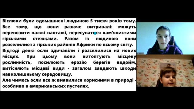 19-06-23 -  Майстер-клас "Лінаріум". Тема: "Дивовижний світ тварин"