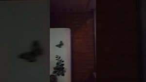 Утепление Балкона Пеноплексом.