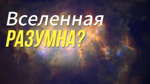 Есть ли у Вселенной Свой Собственный РАЗУМ?