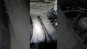 Причина почему не заводится шкода