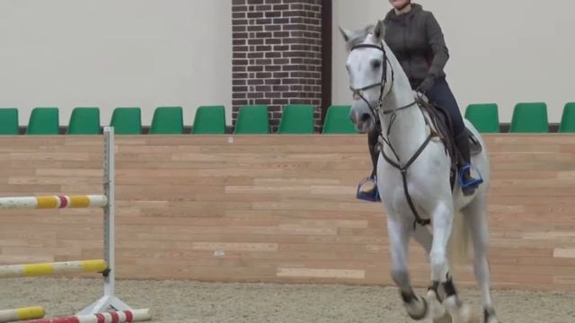 Тренировка Виктор Петров смотреть онлайн