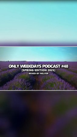 Nelver - Only Weekdays Podcast #48 (Spring Edition 2025) ... #shorts