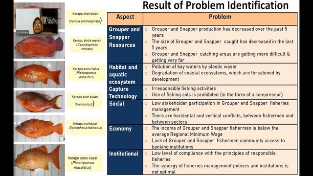 Assessment of Grouper and Snapper Fsheries Presented By Sitti Hilyana смотреть онлайн
