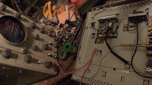 шимка что-то делает