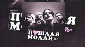 •°плейлист Пошлой Молли | музыка для души | уборки, уроков, тусы°•