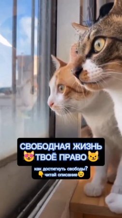 СВОБОДНАЯ ЖИЗНЬ ТЕБЯ ЖДЕТ!🤗 ©DegDi🔥