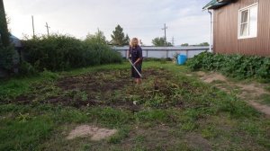 Как убрать ботву с огорода показываю как я это делаю..А может продать её добрым людям с самовывозом_