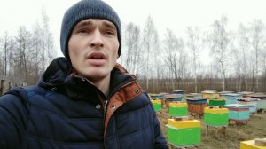 #пчелопакети #бакфаст #итальянка. Пчелопакеты 2020 Бакфаст/Итальянка.