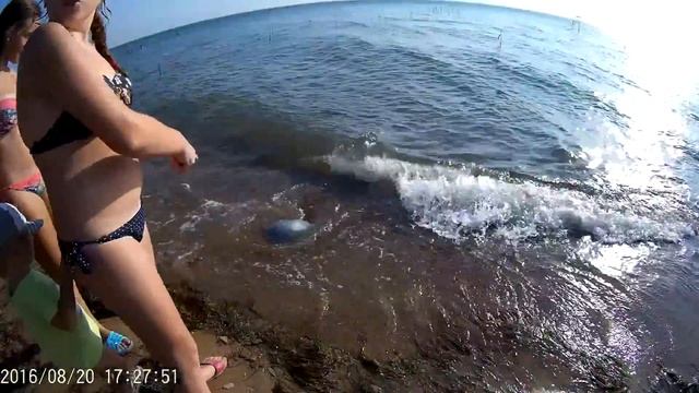 Веселовка-Тамань 2016. смотреть онлайн