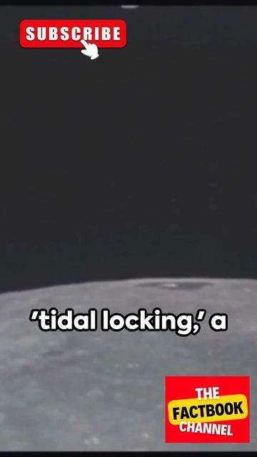 Moon Mysteries | Unveiling Lunar Oddities!! 🌍 #shorts