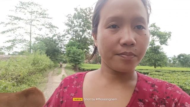 Flowers collection || Papa ka beta ko kia hogia || injection смотреть онлайн