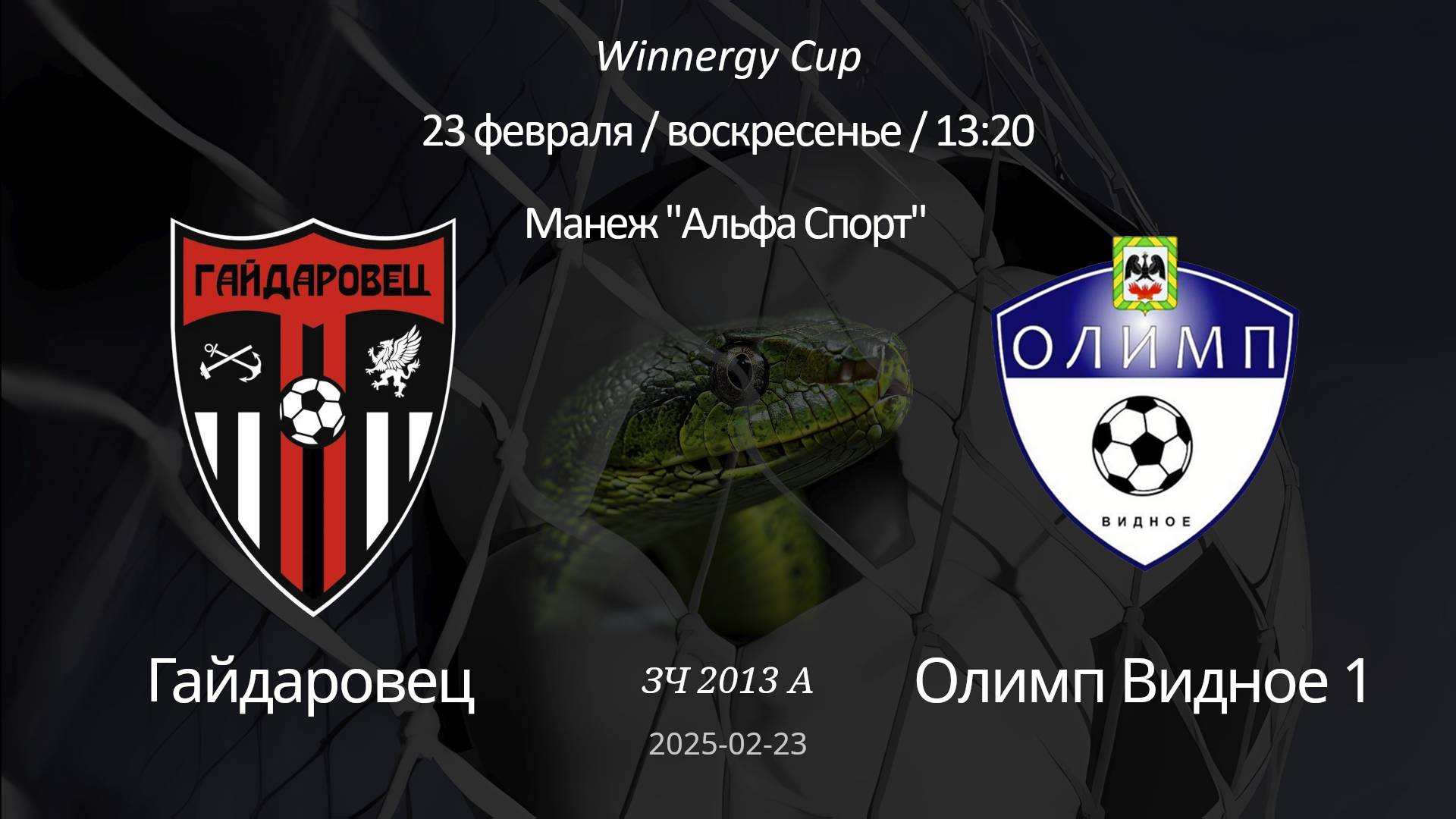 Гайдаровец — Олимп Видное-1 2013 А (6+1) Winnergy Cup 23.02.2025