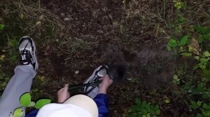 металлоискатель на пирита!