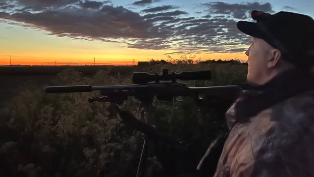 Difficult Summer Foxing смотреть онлайн