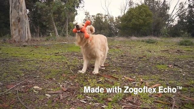 Skamp™ with Zogoflex Echo™ смотреть онлайн