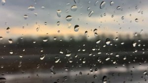 Перевод песни Måneskin – CORALINE на русский