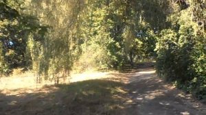 Дорога в Ботсад